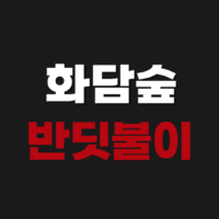 화담숲 반딧불이 축제 예약 방법 야간개장 예매 꿀팁 2026